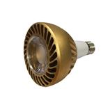 Golden PAR30 LED bulb